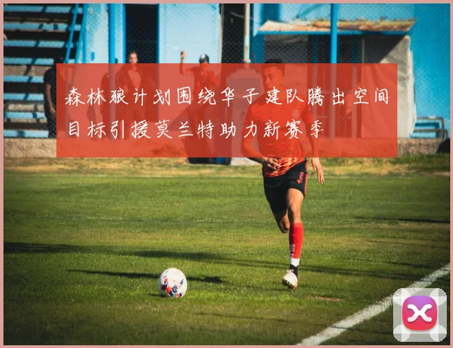 森林狼计划围绕华子建队腾出空间目标引援莫兰特助力新赛季