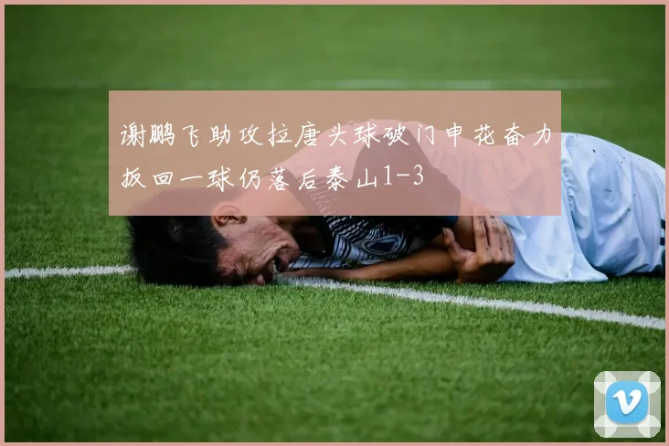 谢鹏飞助攻拉唐头球破门申花奋力扳回一球仍落后泰山1-3